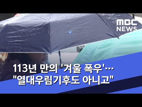 113년 만의 &#39;겨울 폭우&#39;…&quot;열대우림기후도 아니고&quot; (2020.01.07/뉴스데스크/MBC)
