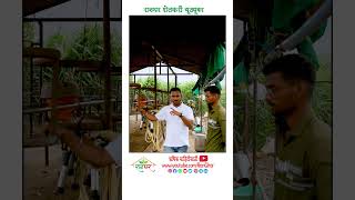 MuktsanchargothaReelsV03 #ranghar #reels #मुक्त_संचार_गोठा #reelsindia#shorts  #farming #agriculture