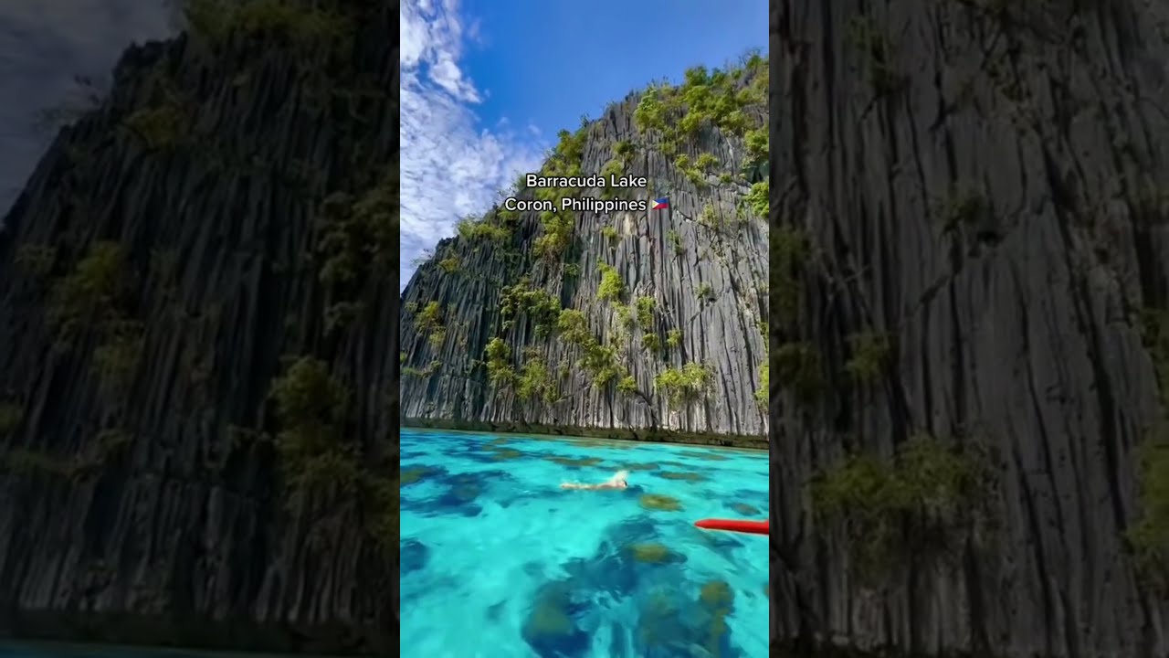 Explore the Crystal Clear Waters of Barracuda Lake, Coron 