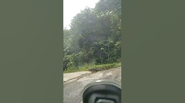 Tanjakan pasir putih sangat mengejutkan 😱