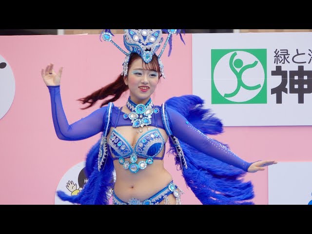 ピンクと黄の花の衣装で大人気のダンサーさんも!【Escola De Samba