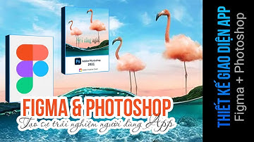 Thành thạo Figma để thiết kế giao diện App chỉ trong 50 phút