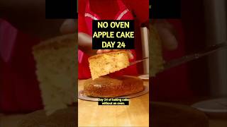 No Oven Apple Cake | Easy Stovetop Cake Recipe | Day 24
