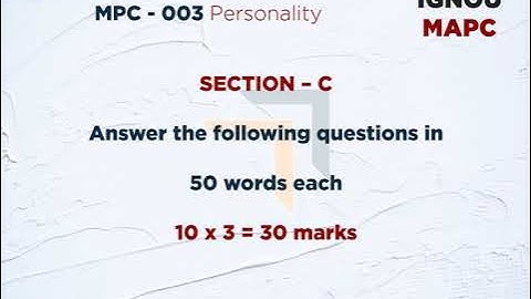 2022 - Personality: Assessments and Theories - MPC - 003 - Assignment Motivator