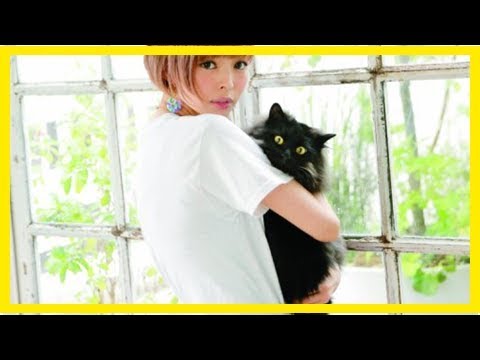 最上もがのニュース 最上もがの愛猫 靴をくんくん嗅ぐのが大好き 最新芸能ニュース一覧 楽天woman Youtube 最上もがのニュース 最上もがの愛猫 靴をくんくん嗅ぐのが大好き 最新芸能ニュース一覧 楽天woman Youtube