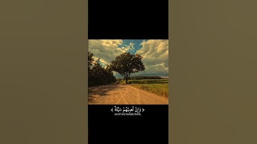 أَيْنَمَا تَكُونُوا يُدْرِككُّمُ الْمَوْتُ(78)_سورة النساء _ القارئ الشيخ ياسر الدوسري _
