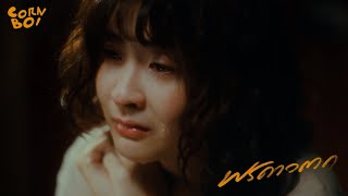พรดาวตก - CORNBOI【Official Teaser】