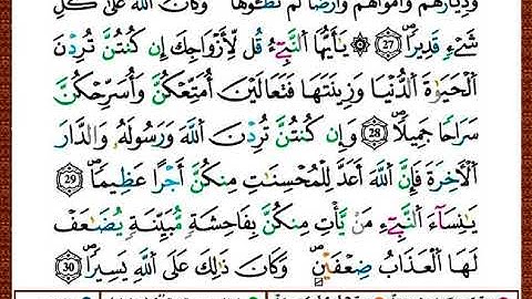 ختمة مصحف التجويد برواية قالون الصفحة رقم 421