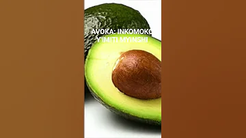 AVOKA NI ISOKO YIMITI MYINSHI NI ITUNDA RY ABAGABO ARIKO N ABAGORE DA Avocado Avocat Prostate 