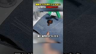 掃除のプロも教えてくれない実用的なお掃除のコツ #ショート #ライフハック #shorts