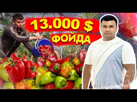 БАЛГАРСКИЙДАН 13 000 $ ДАРОМАД САМАРКАНД | @RustamjonRakhmonov