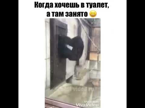 Терпеть туалет видео