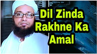 Dil Kab Murda Hota Hai Aur Uska Ilaaj Kaise Kare