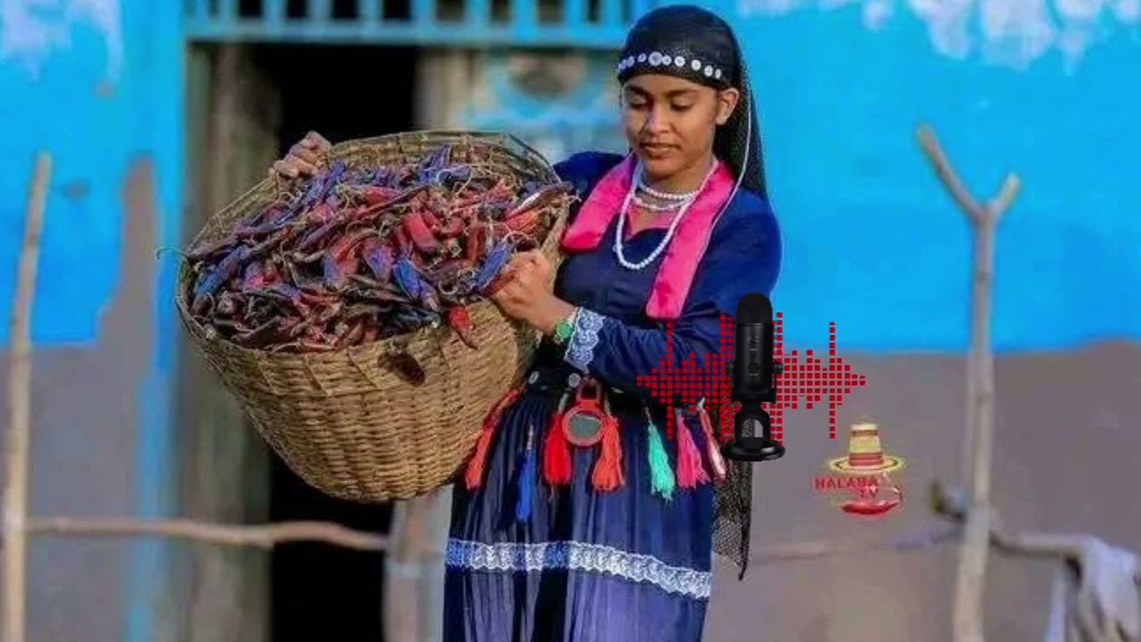 ሸምሰዲን አደም halaba music 