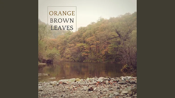 Orange Brown Leaves