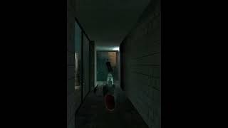 Я Джон Ик | Half Life 2 VR