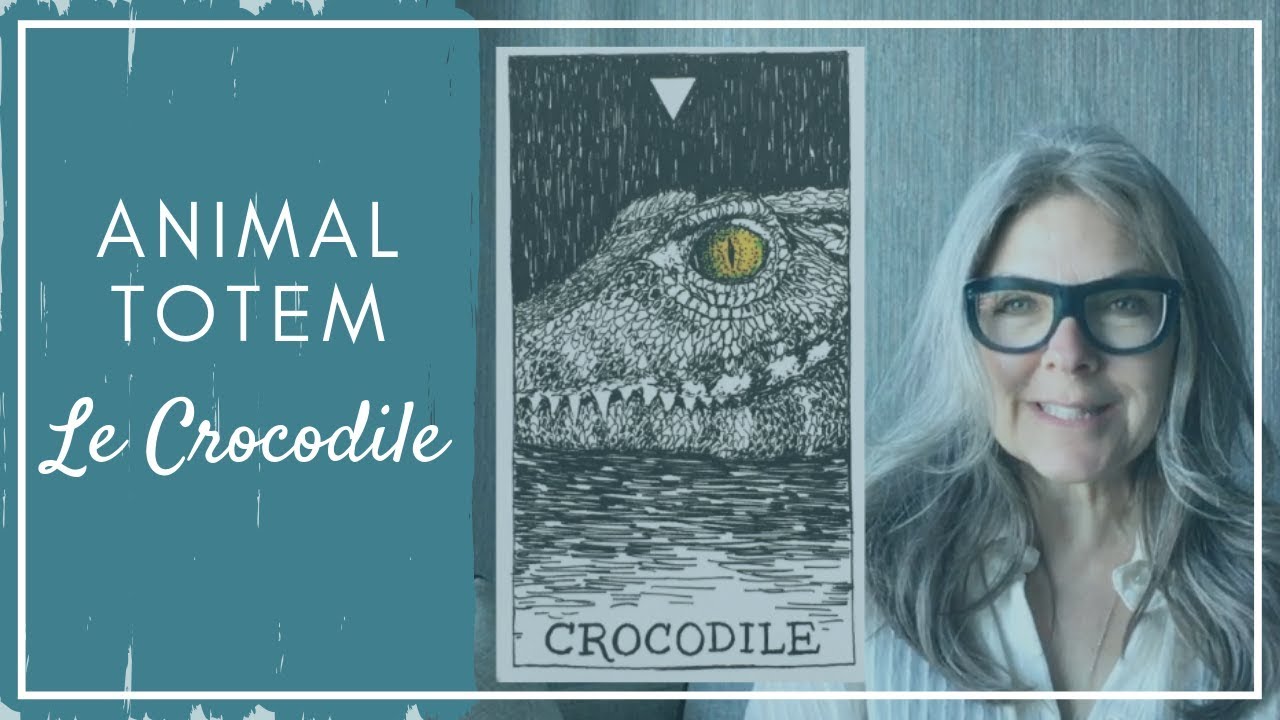 Animal TOTEM - Le crocodile - CHAMANE URBAINE - YouTube