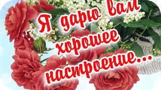 Доброе Утро! 🌸Я Дарю Тебе Хорошее Настроение 🌸Позитивное Пожелание🌸Good Morning!🌸