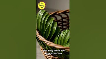 Elevate your space with indoor plants, biophilic design, and sustainable architecture.