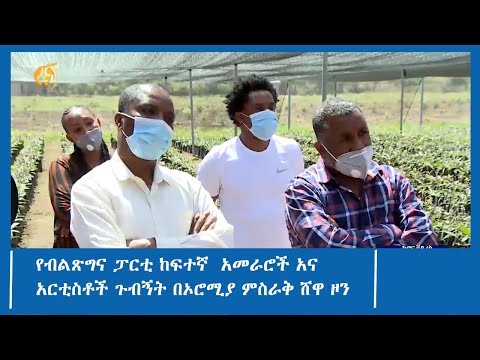 ቪዲዮ: በደቡብ ምስራቅ እስያ ከፍተኛ የበጀት አየር መንገድ