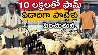 ఏడాదిగా గొర్రె పొట్టేళ్లు పెంచుతున్న | Sheep Farming