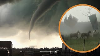 HORSES HIT BY TORNADO & Escape!