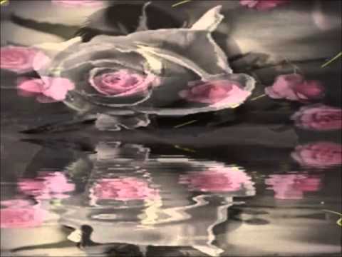 Kalbimden Silemediler şiirin Kalbi Ve şiirin Anlamı İzzet Keser