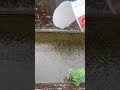 みそきんポイ捨てしてみたwww ヒカキン みそきん みそきんポイ捨てしてみたwww ヒカキン みそきん