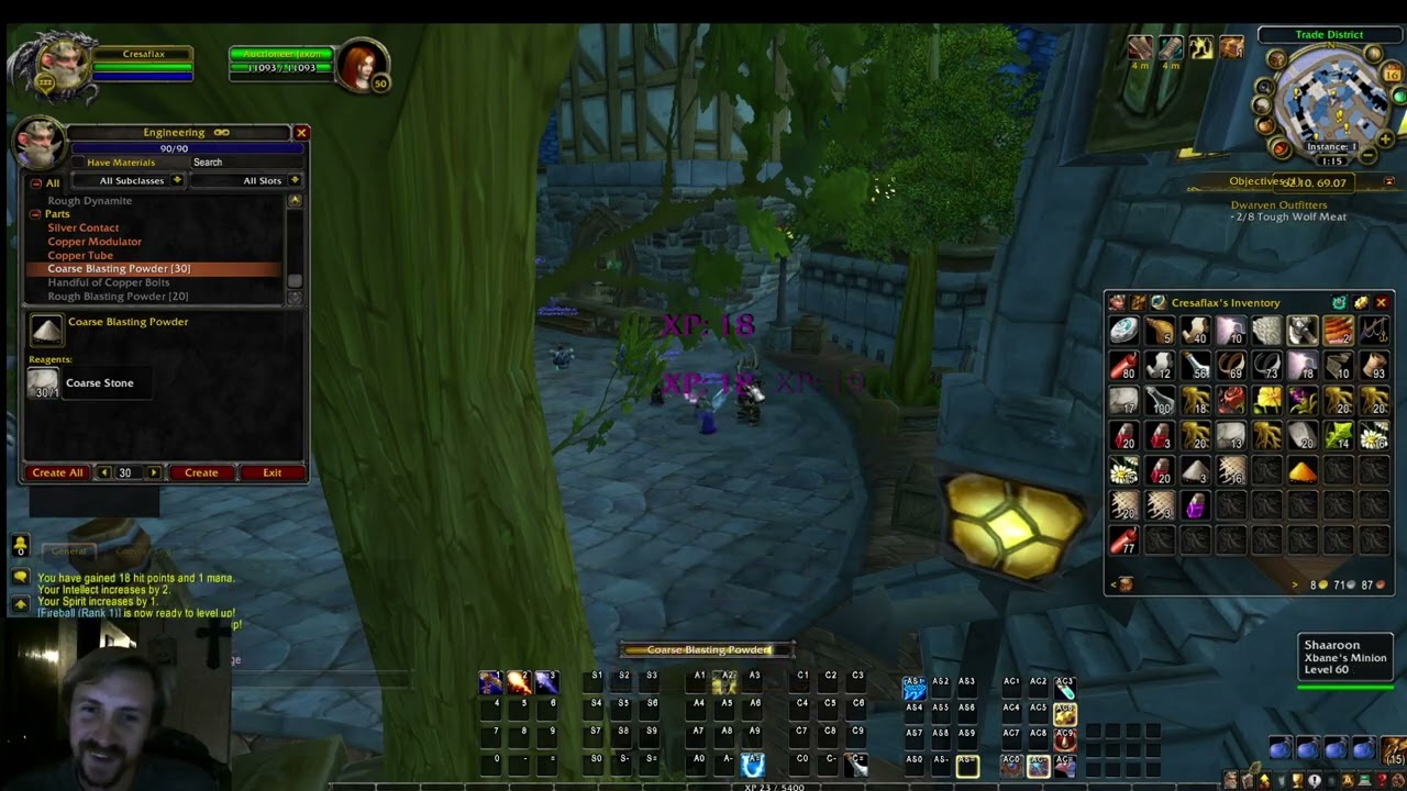 Ascension Bronzebeard Gameplay-Cresaflax Lvl 8 Mage--Profession Experience-Engineering