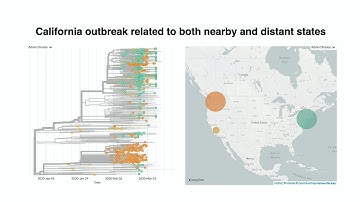 Nextstrain Situation Report 2020-04-17