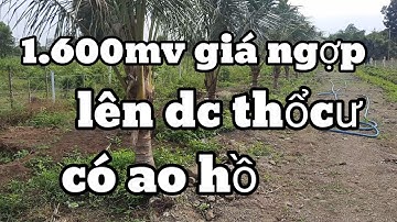 giảm giá tốt  ,mãnh vườn 1.600mv phủ hồng,lên dc thổ cư,Huyện Châu Đức Bà Rịa Vũng Tàu :0933708258
