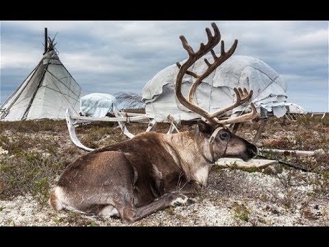 Vídeo: Chukchi: Los Hechos Más Impactantes - Vista Alternativa