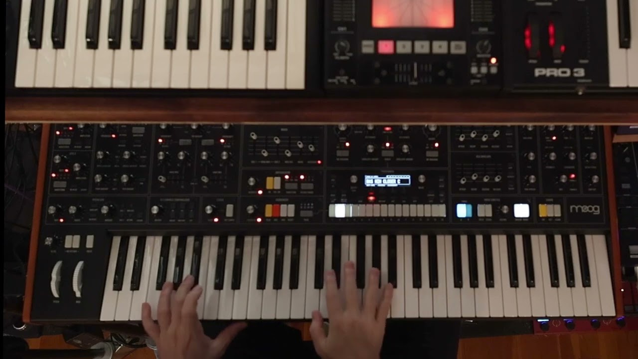 Moog Muse - Nine Inch Nails NIN Closer Bass