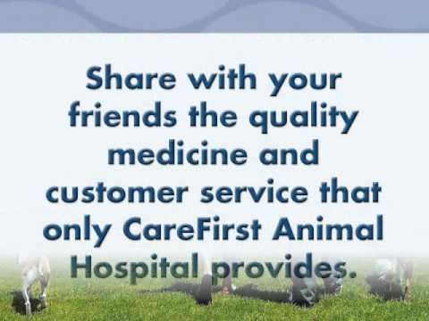 Care First Animal Hospital: Refer a Friend - YouTube