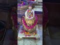 Darshan chinta haran mahadev gokul