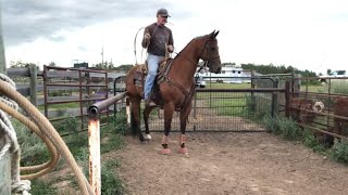 Tie Down Roping Box Training - How to be on the barrier every time!