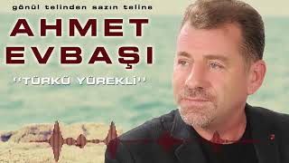 Ahmet EVBAŞI  /  Olur mu Gülüm