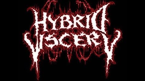 Hybrid Viscery @ MCP Apache