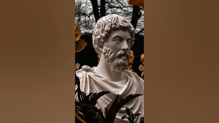 Marcus Aurelius’ Advice to the Overthinker #stoicism  #managingemotions #overthinking