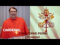 105 cardenal christophe pierre francia catlicos mundocatlico cardenales cnclave