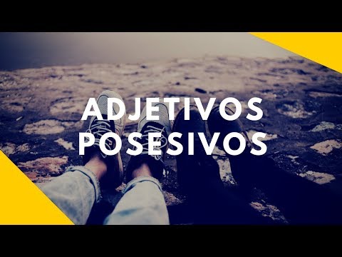Adjetivos Posesivos en Inglés – my, your, his, her etc con EJEMPLOS