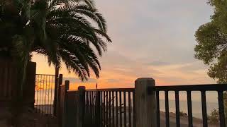 summer 2020 - funny things by thundercat