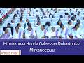 AMECO HIBIR Hirmaannaa Hunda Galeessaa Dubartootaa Mirkaneessuu 02 07 2018