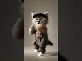オジキャット #cat #dancingcat #petdance #cute #dancingpet #catlover #catdancer