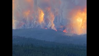 Drone footage of property destroyed by wildland fire (Beckwourth Complex / Sugar fire)