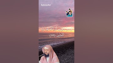 سورة يونس، من الآية(9)إلي الآية(10)،بصوت القارئ الشيخ وديع اليمني.