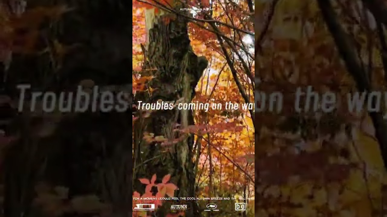 Culloden Avenue YouTube