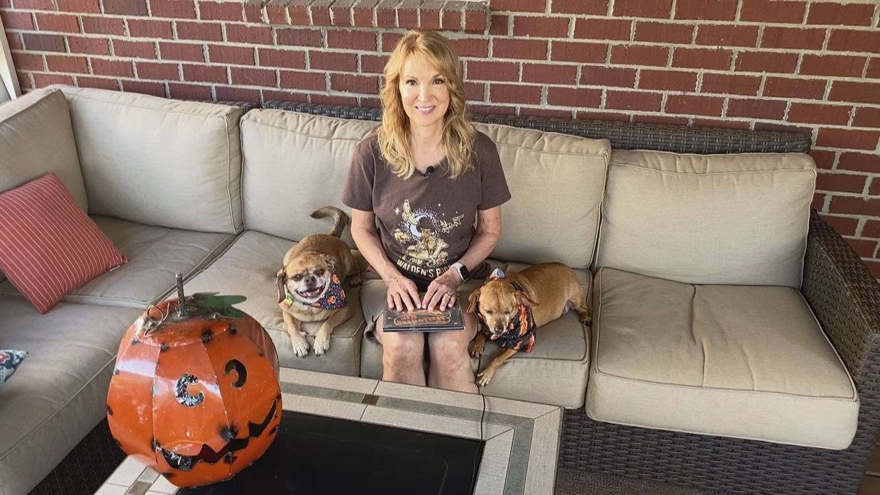 Story Time on the Back Porch: The Halloween Kid