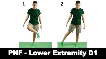 PNF Lower Extremity D1 - Ask Doctor Jo