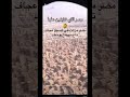 كولار خراوي منعرف علا واه خايفين هههه مهم من اليوم اصبح اسمها دولة مصرائييل Fypシ Viralシ Fypag كولار خراوي منعرف علا واه خايفين هههه مهم من اليوم اصبح اسمها دولة مصرائييل Fypシ Viralシ Fypag